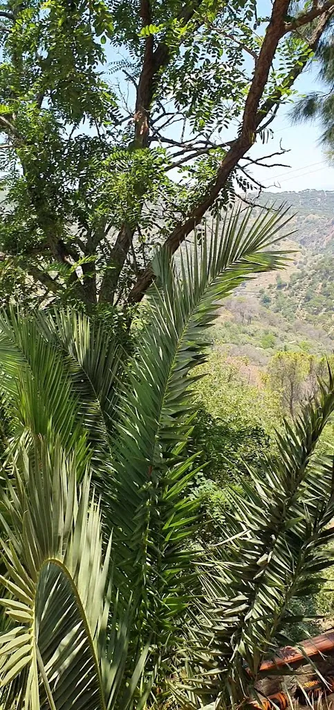 Paul Bargiel_Bar Vitelli_Savoca_review