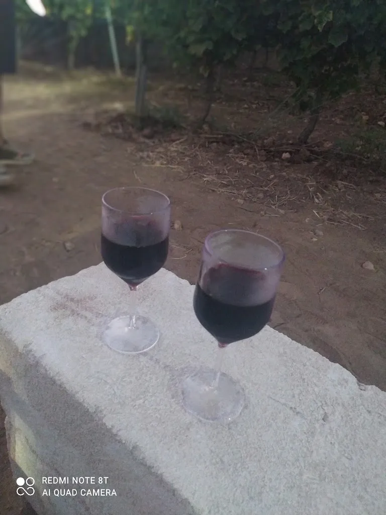 A “AR” R_Brother of dishes_Leverano_review