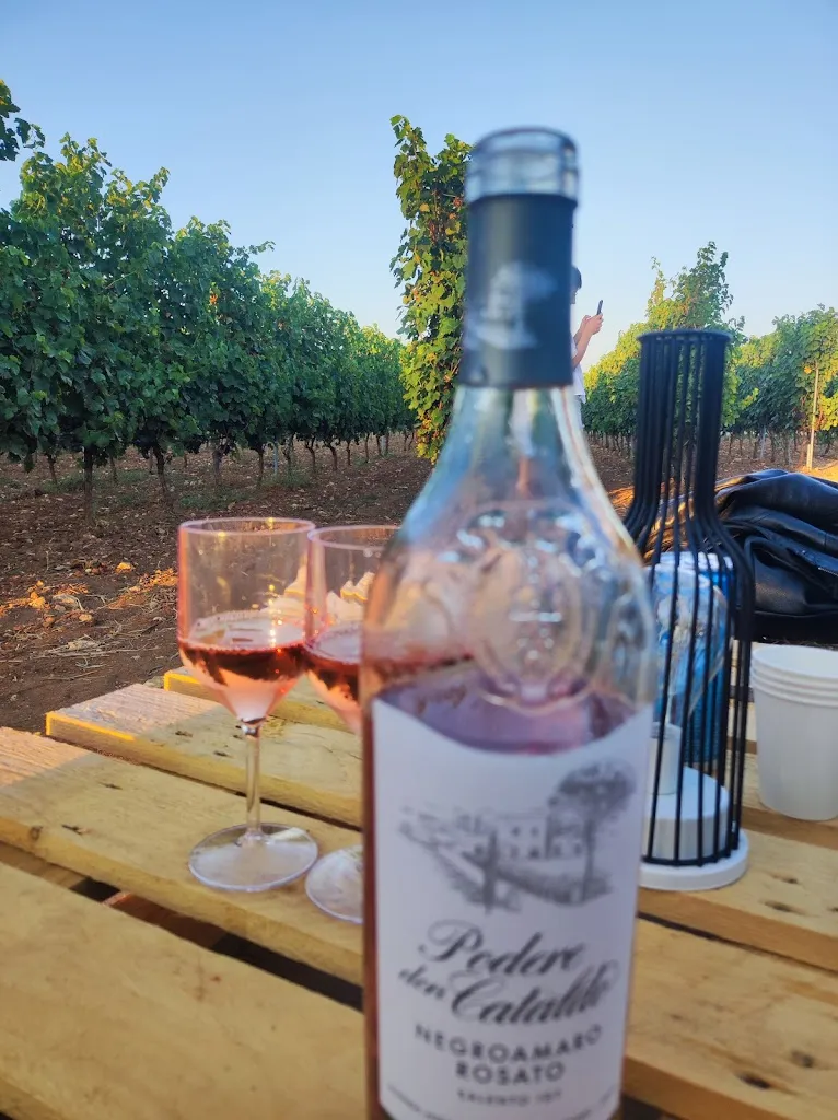 Brother of dishes restaurant in Leverano