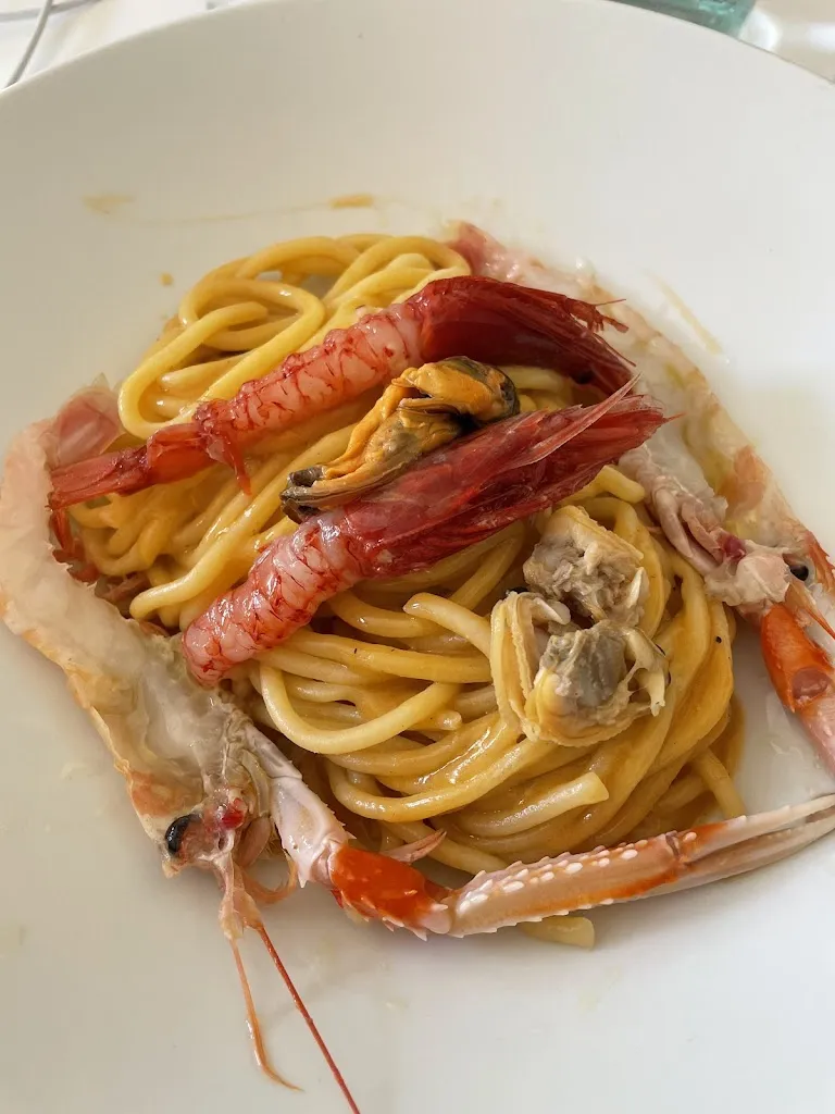 Doug_LUMA SCOGLITTI_Scoglitti_review