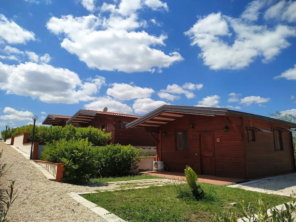 AGRICARUSO di Caruso Angela Martina_Scordia_slider_image_1