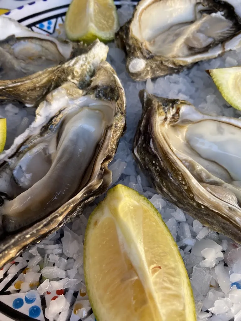 Ennie Bertelli_Zero spine_Sferracavallo_review