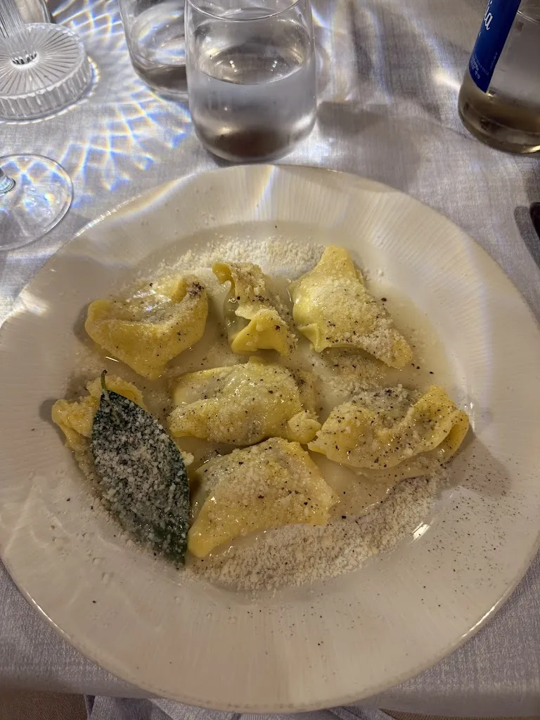 Megan_Da Sandra_Magliano_review