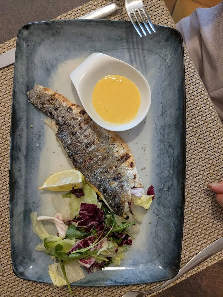 Alex P Silva_Sambriglia_Sutera_review