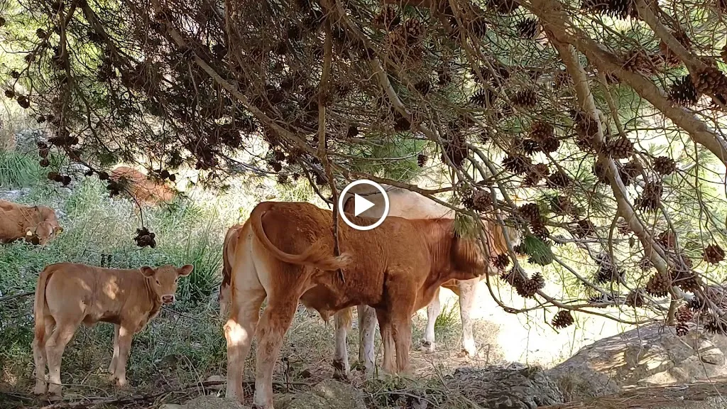 Farmhouse Il Gattopardo_Torretta_slider_image_2