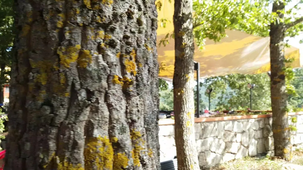 Trattoria La Rocca_Tortorici_slider_image_2