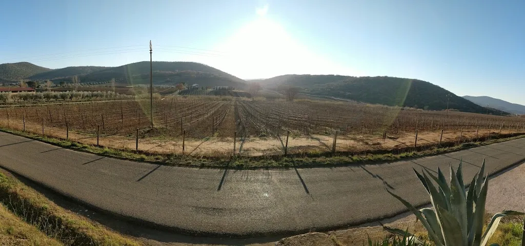 Domenico Palumberi_Trattoria Cupi_Magliano_review