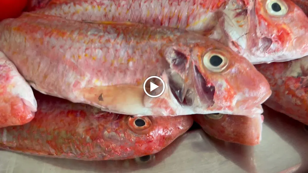 Spaghetteria Pizzeria da Franco_Tre Fontane_slider_image_2