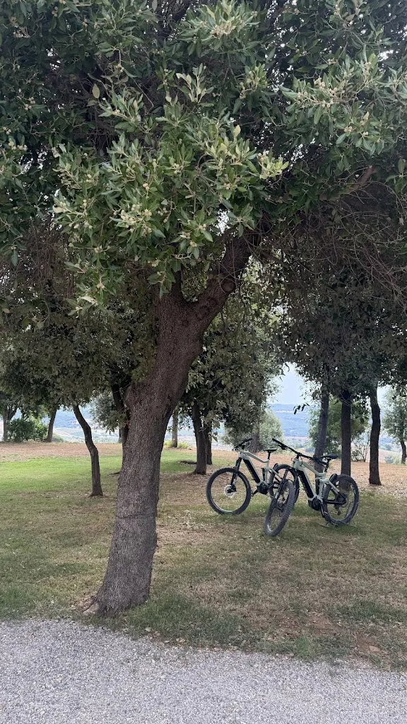 Iryna Nizhynska_Casale Oleo_Magliano_recensione