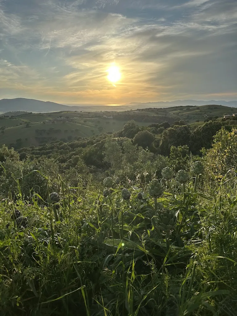 Chris Mo_Casale Oleo_Magliano_recensione