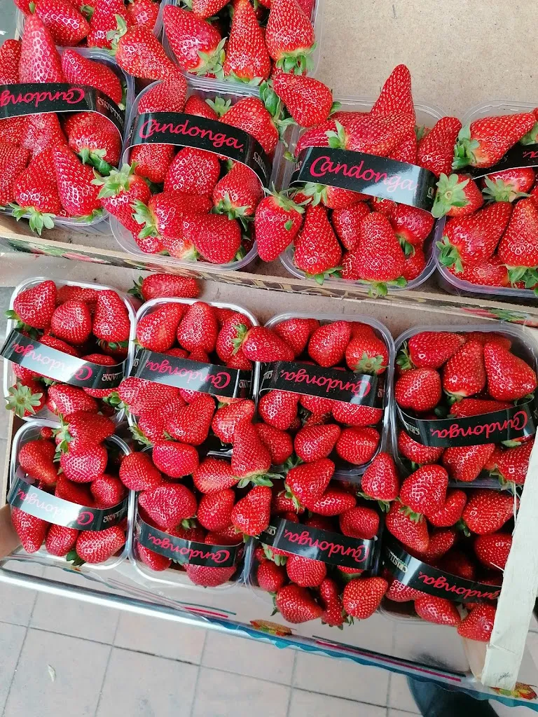 Menu_Degustibus bistrot_Trecastagni_image_8