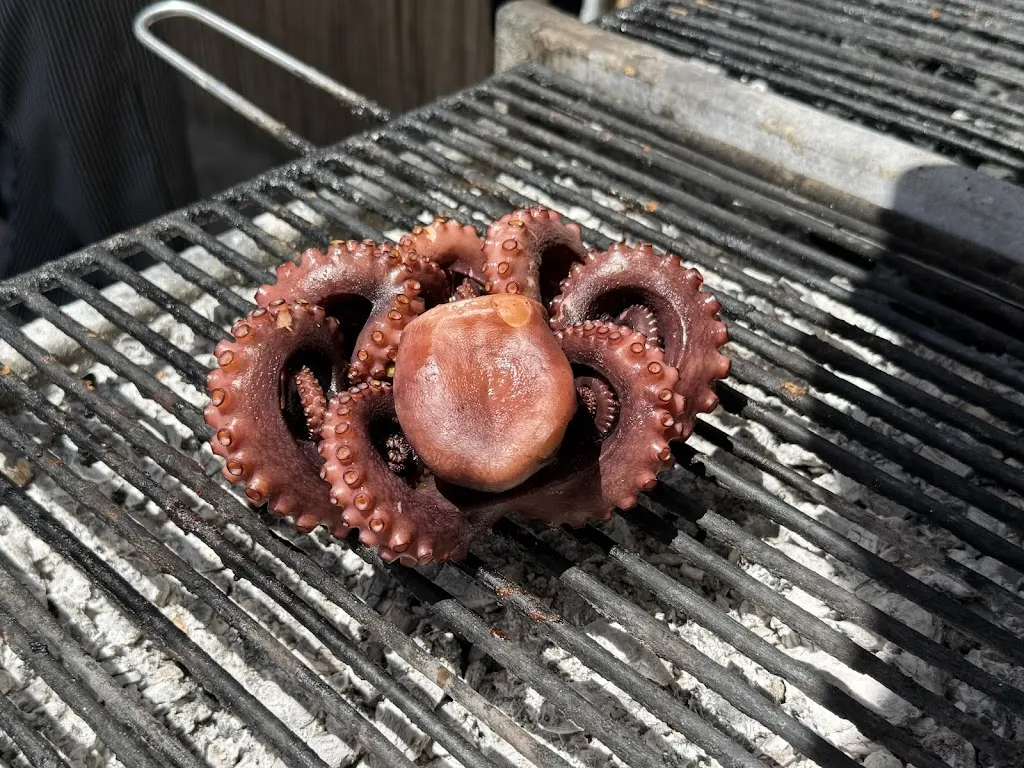 Food Crafters_Lido Zabbara_Triscina_review