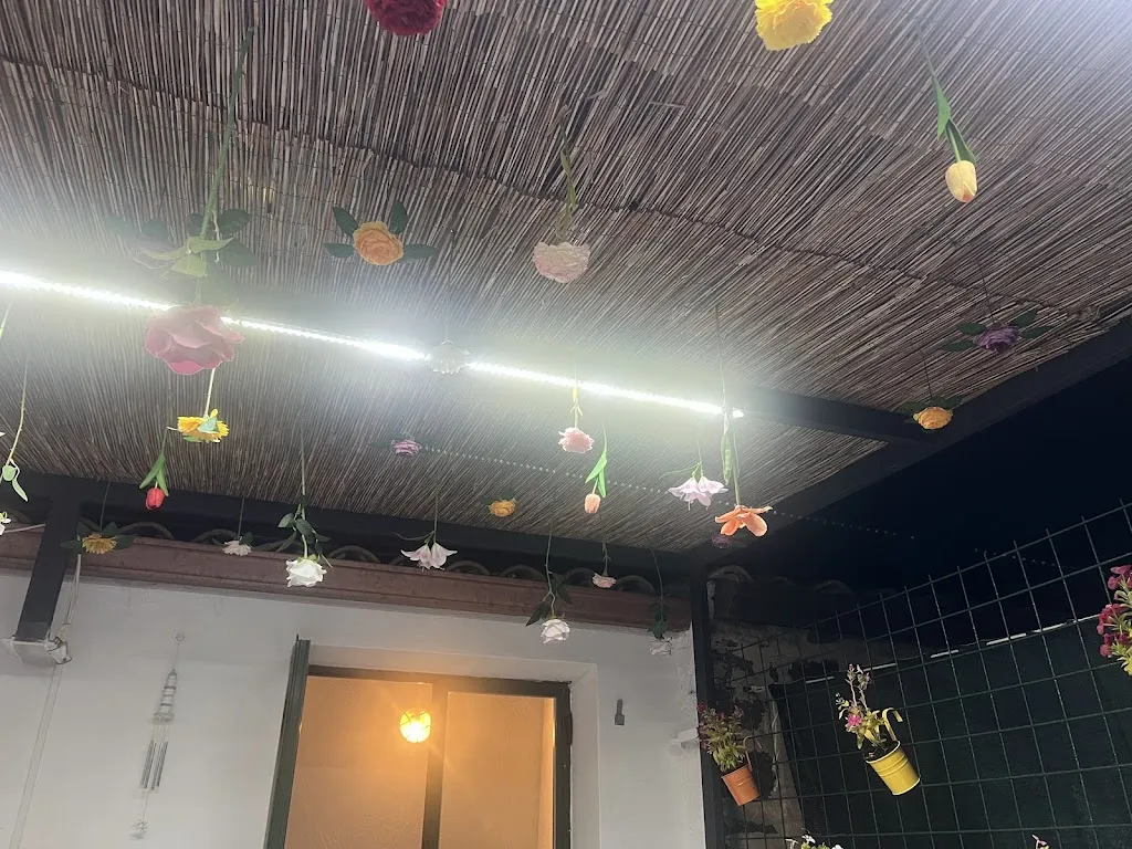 Silvis Dolce_Basilicò_Ustica_review