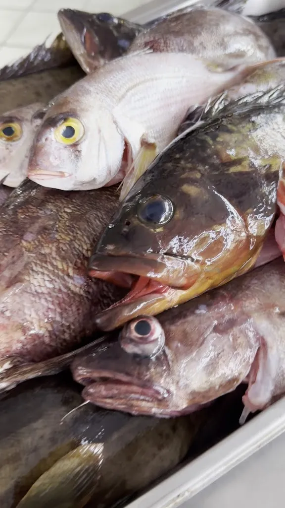 Ristorante Sogni nel Blu - 