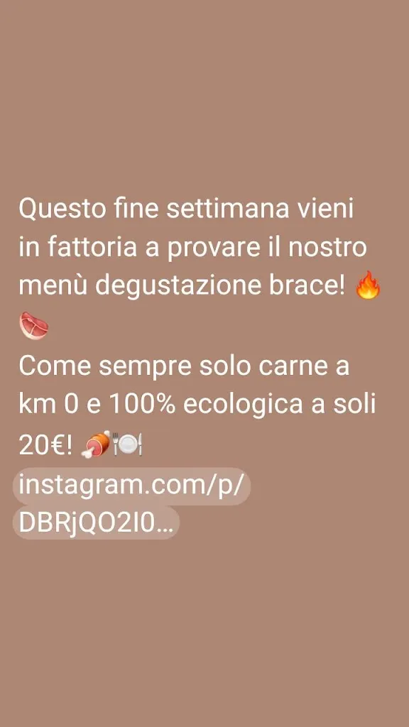 Menu_Il Bosco Felice - Farm restaurant, Ecofarm_Magliano_image_3