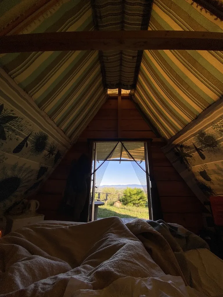 Ester Bisio_Il Bosco Felice - Farm restaurant, Ecofarm_Magliano_review