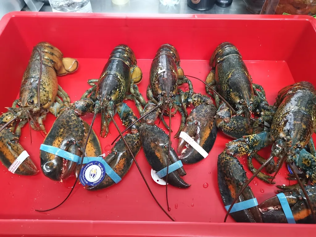 Menu_Bistrot del borgo_Troina_image_4