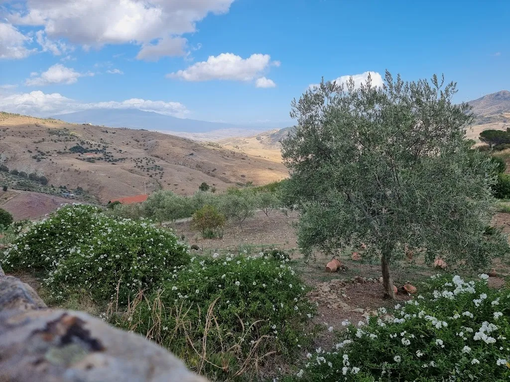 Criside Pulvirenti_a mecca i crisafi_Troina_review