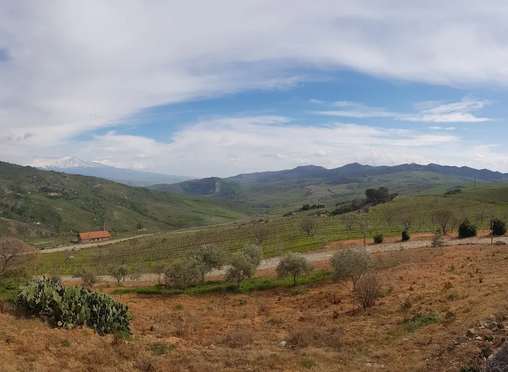 a mecca i crisafi_Troina_slider_image_3