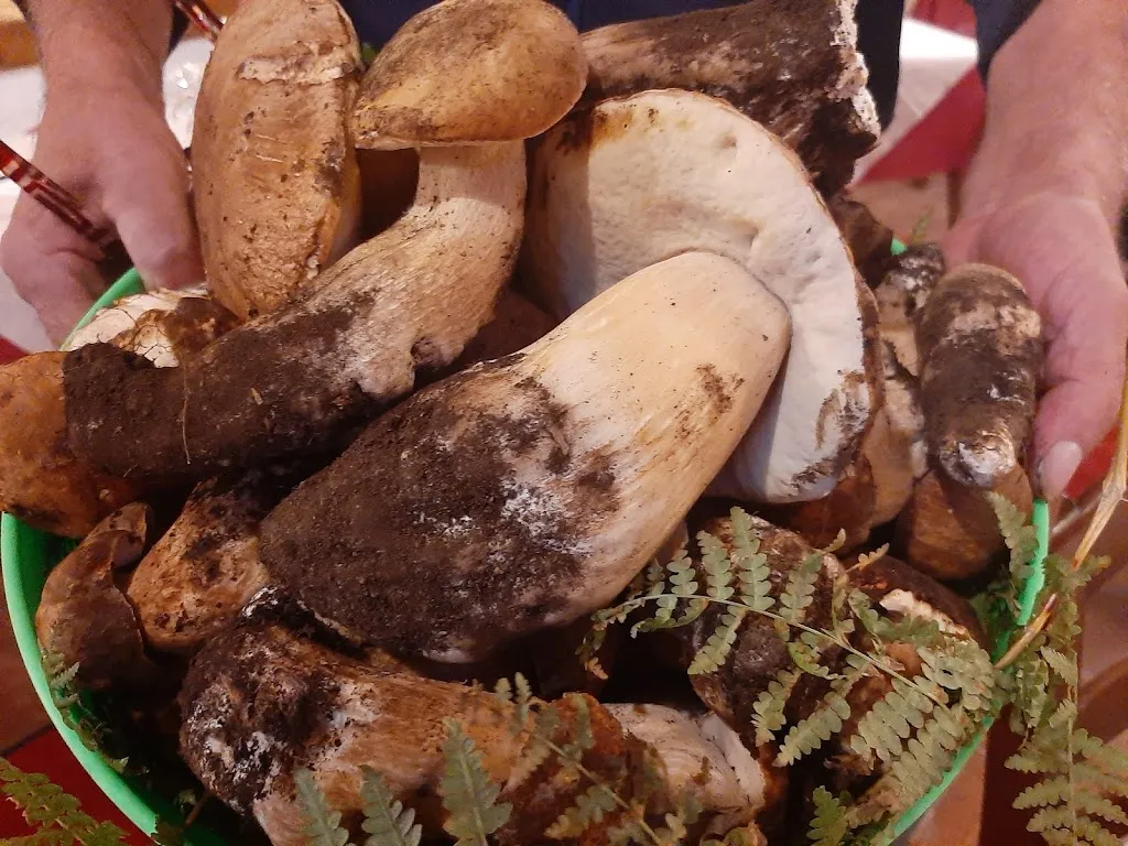 Menu_New Piccolo Mondo Ristorante Pizzeria Lounge bar_Viagrande_image_5