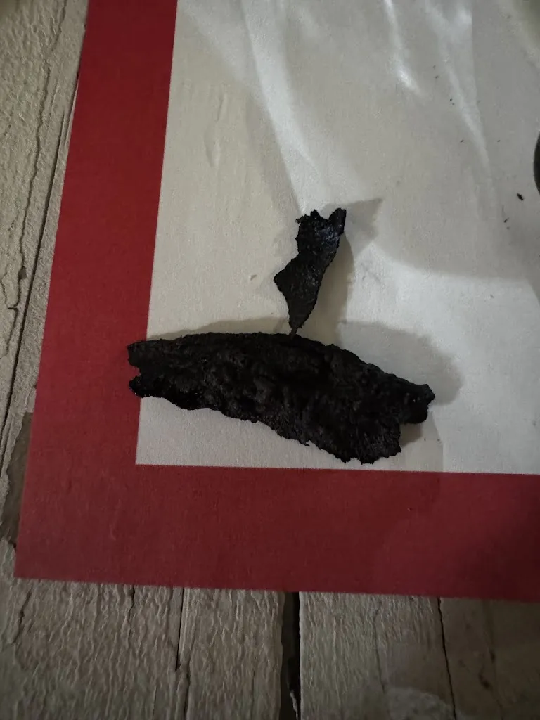 Davide De Gregorio_Summer PUB_Venetico Marina_review