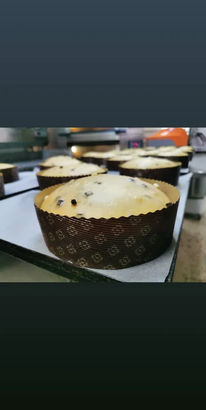 Menu_Panificio Focacceria Le Antiche Tradizioni_Venetico Marina_image_3