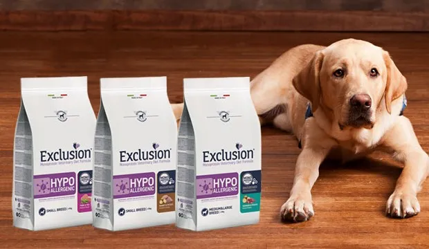 New Moon_Villasmundo_slider_image_1