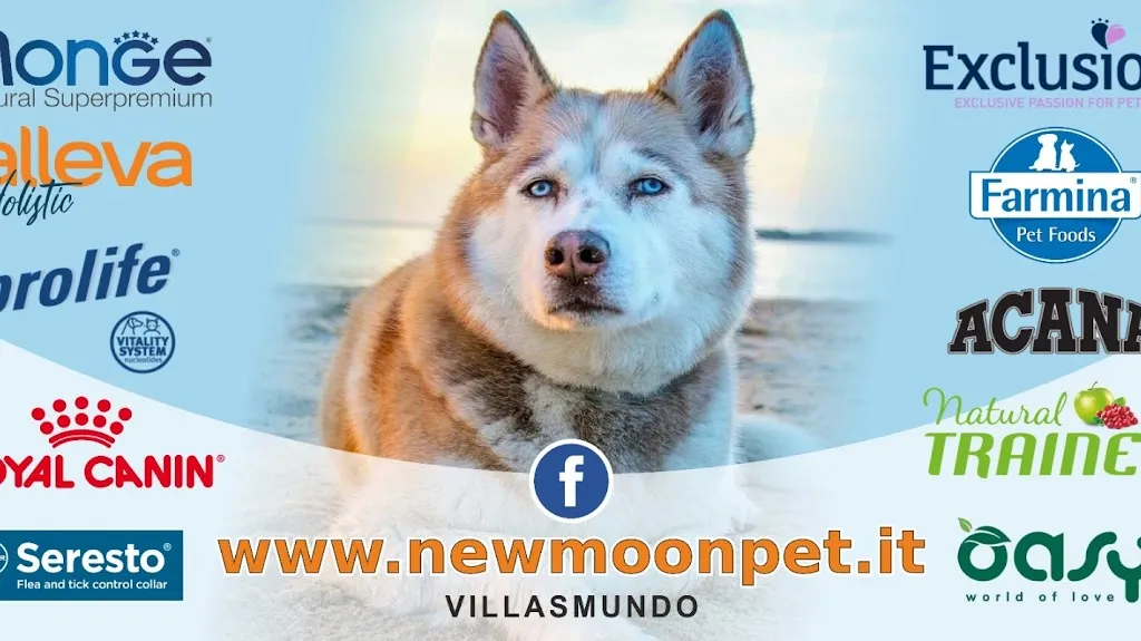 New Moon_Villasmundo_slider_image_2