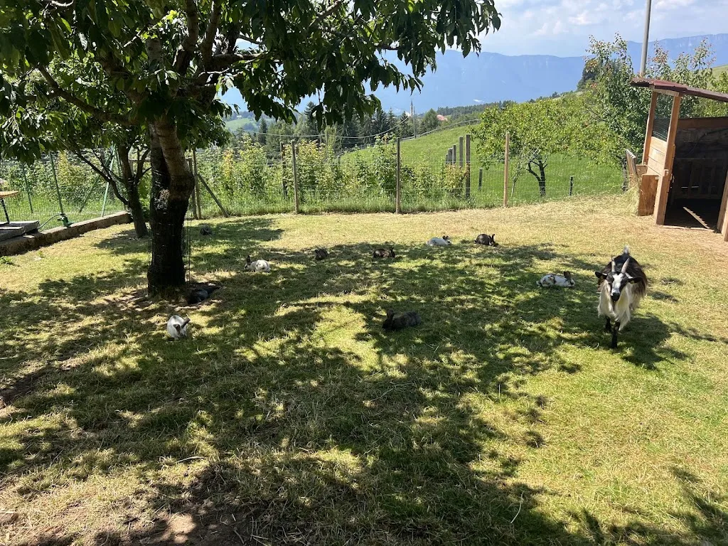 Tamara Moroni _Agritur Larcher_Aldino_review