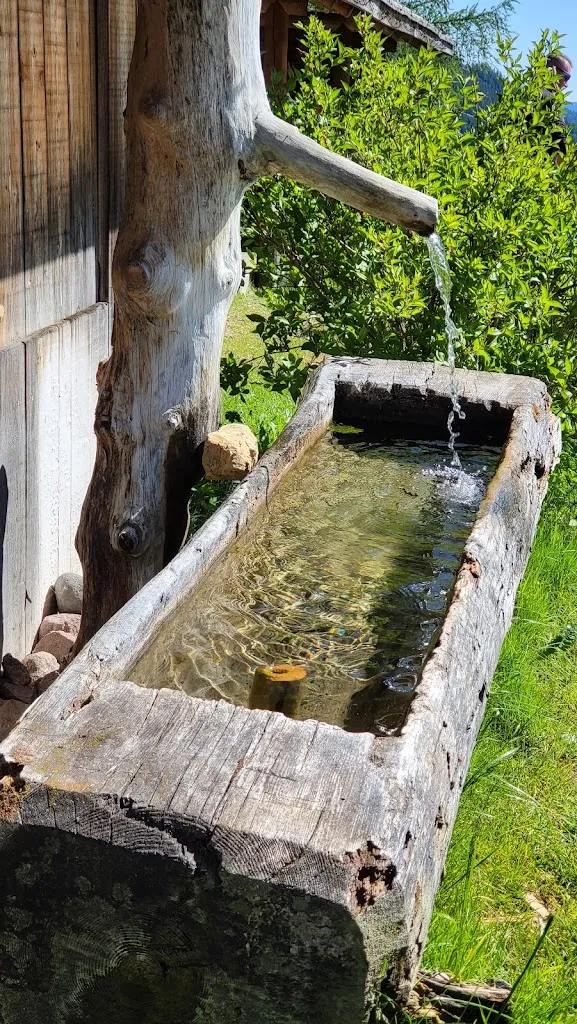 Patrik Tůma_Nigglhof_Aldino_review