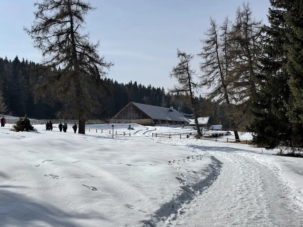 Lorenzo Molinari_Schönrastalm_Aldino_review