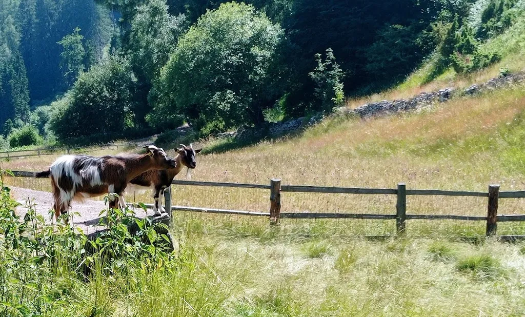 Stefano Poggio_Malghette di Anterivo_Anterivo_review