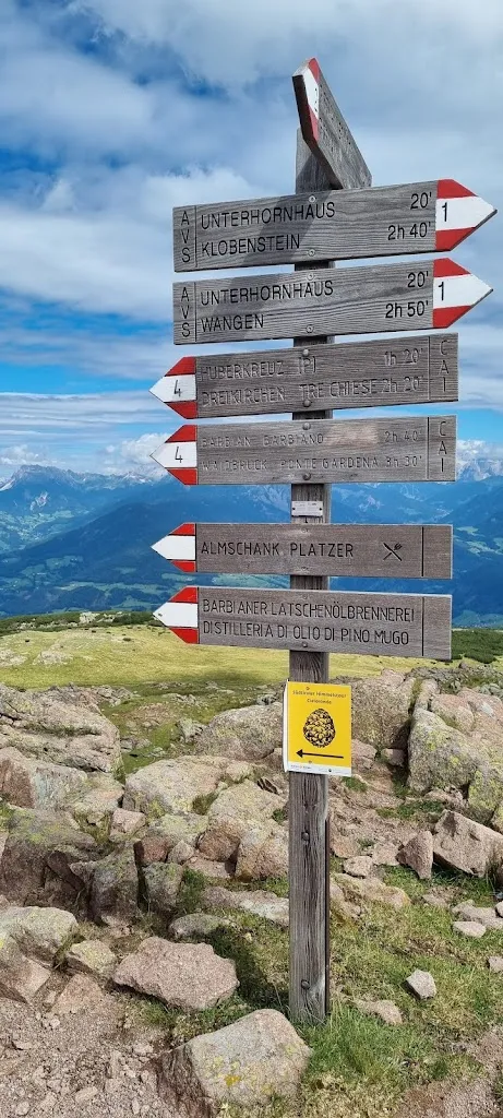 Sa Sco_Almschank Platzer_Barbiano - Barbian_review