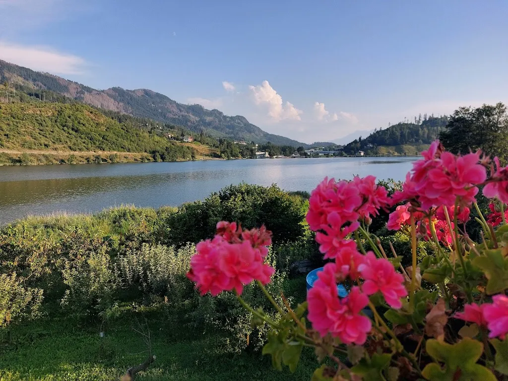 Rob Stones_Bar Ristorante Al Lago_Baselga di Pinè_review