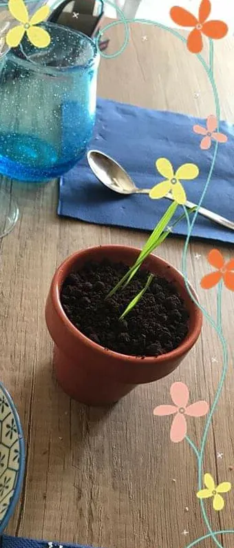 Menu_Coquus_Lucera_immagine_6