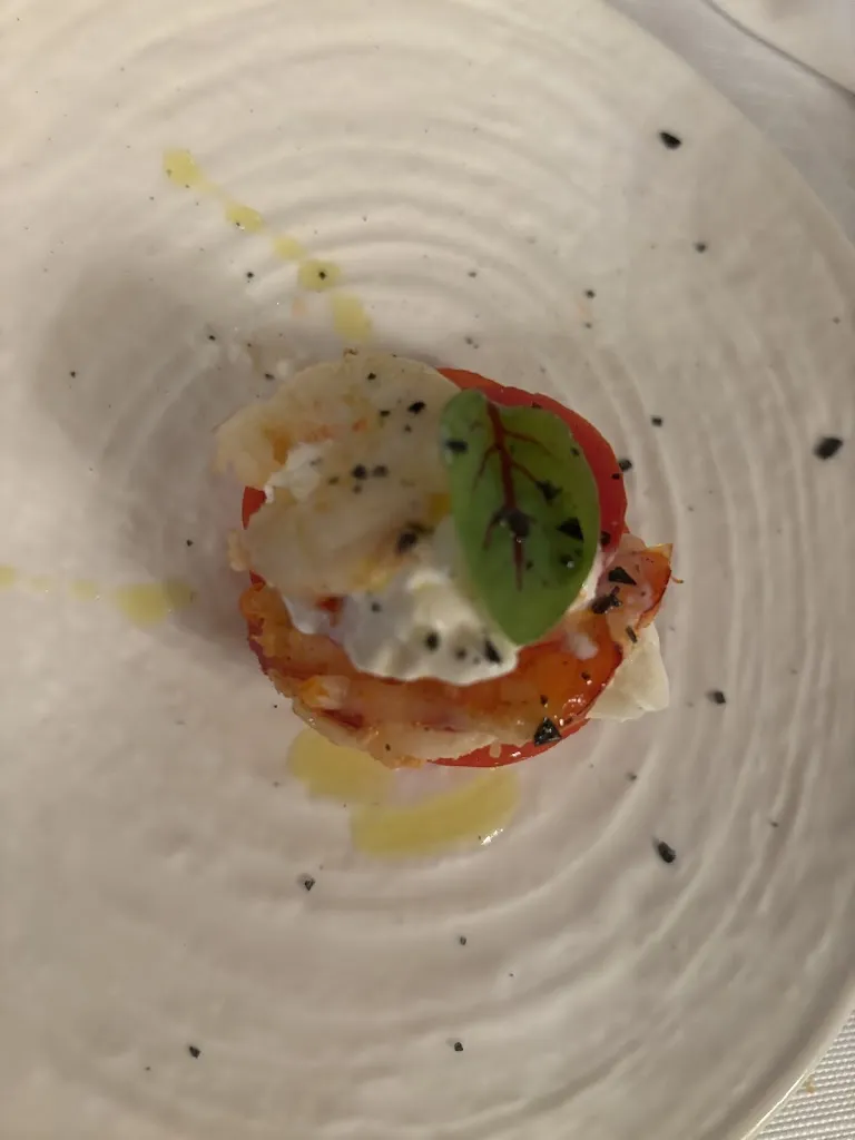 Patrizia Ottaviano_Il Presidente_Lucera_review