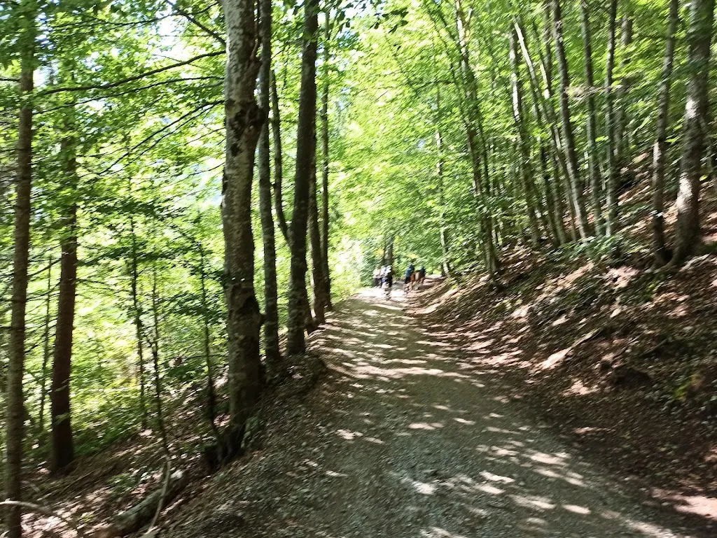 Thomas Martinazzoli_La Tana dell'Ermellino_Andalo_review