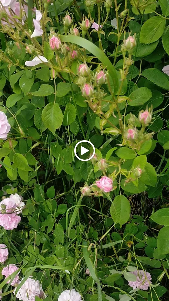 Agritur Maso Flonkeri_Bosentino-Migazzone_slider_image_2