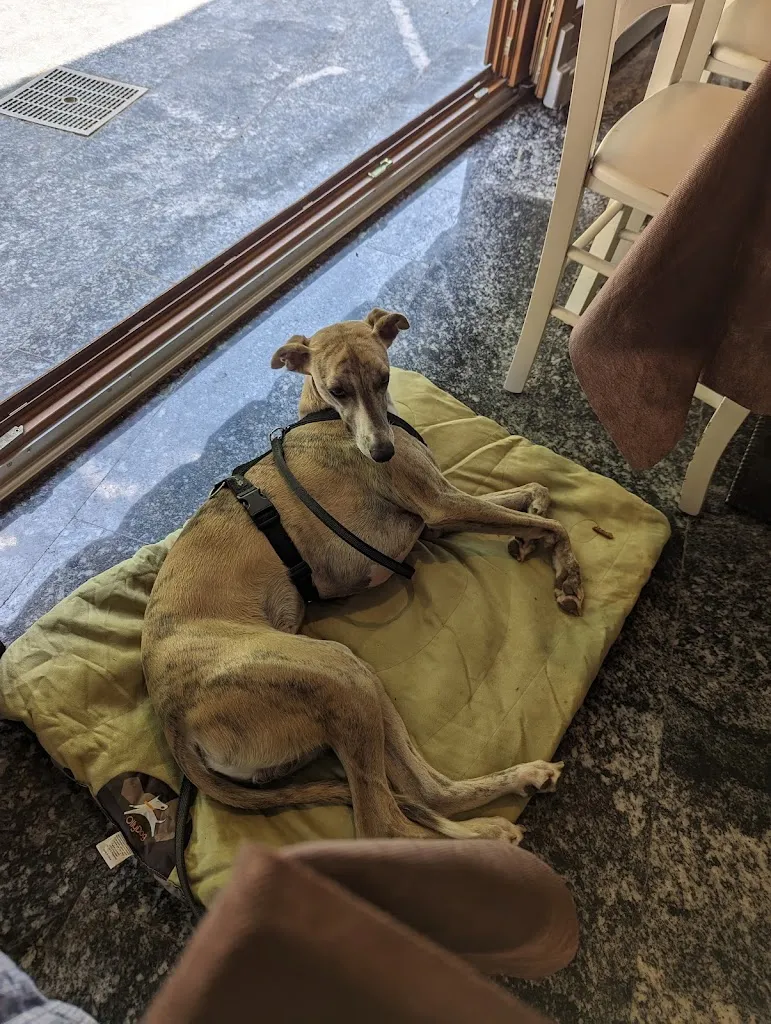 Markus Granström_Villa Giara Ristorante Pizzeria Grill_Bolognano-Vignole_avis