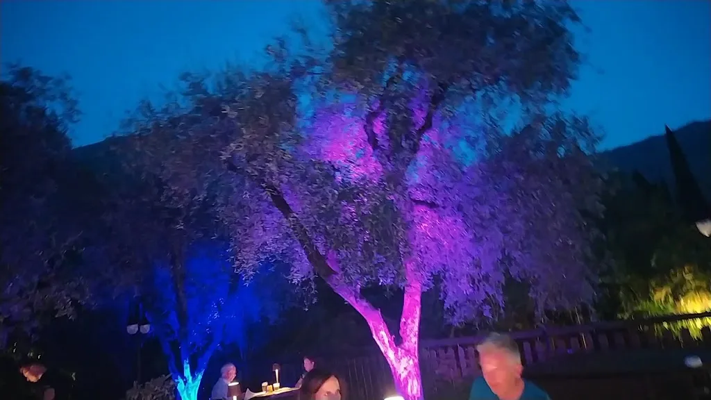 Seesons ristorante & Lounge Bar_Bolognano-Vignole_slider_image_2