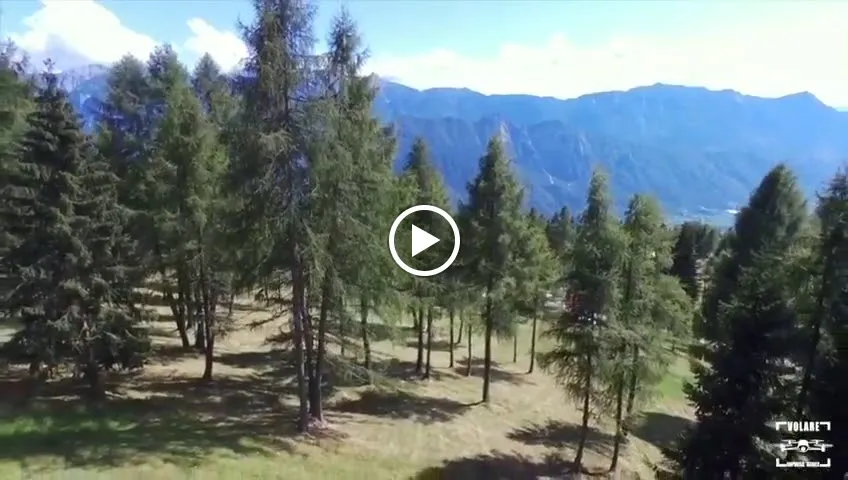 Chalet Serena_Borgo Valsugana_slider_image_2