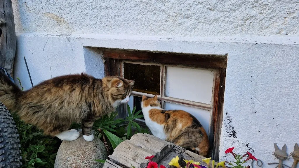 Il Ko_Rifugio Genziana Zirago_Brennero - Brenner_review