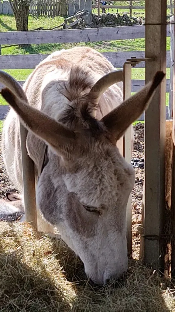 Agriturismo Maso Pan_Caderzone Terme_slider_image_2