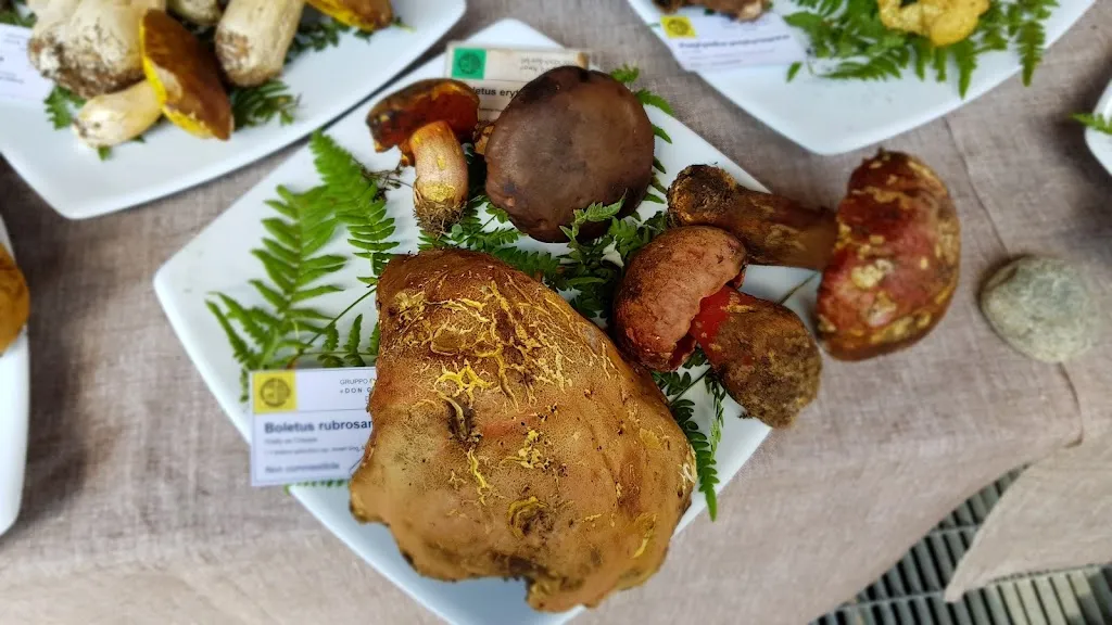 Menu_Ristorante Bar Prà Rodont_Caderzone Terme_image_5