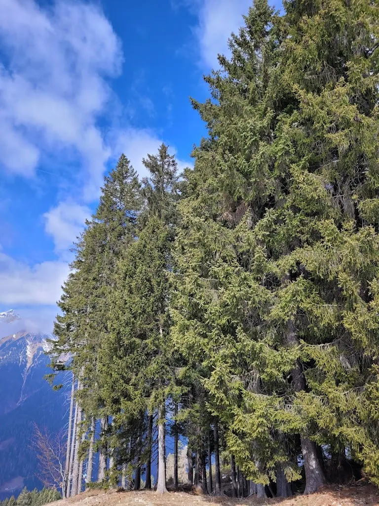 Kamila Świerska_Ristorante Bar Prà Rodont_Caderzone Terme_review