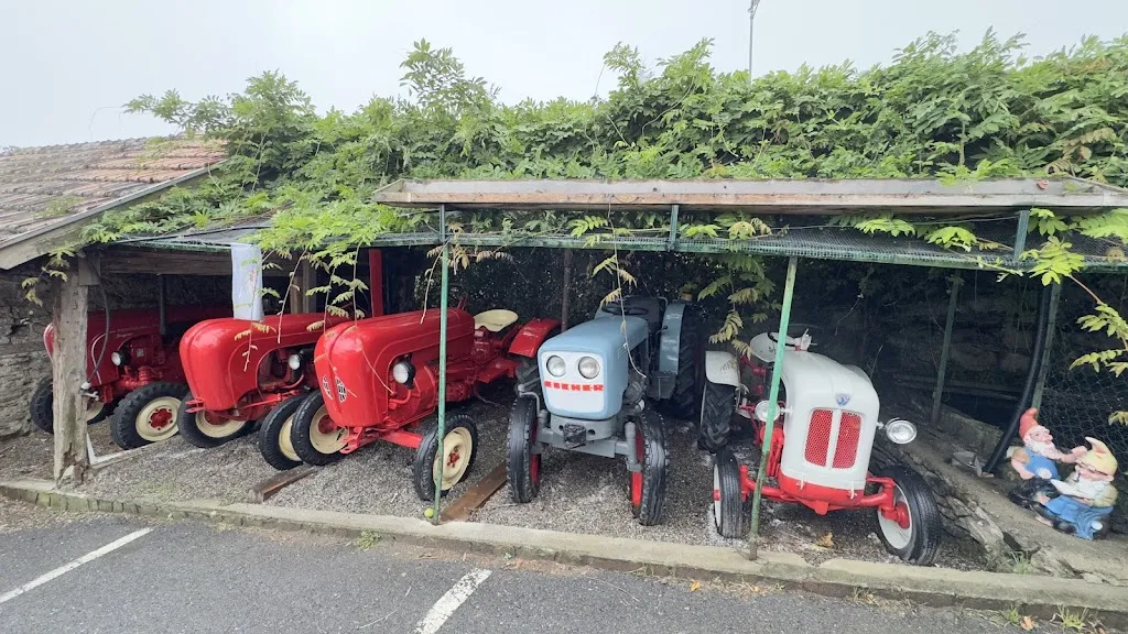 Ahmed AlKharusi_Ungerichthof_Caines - Kuens_review