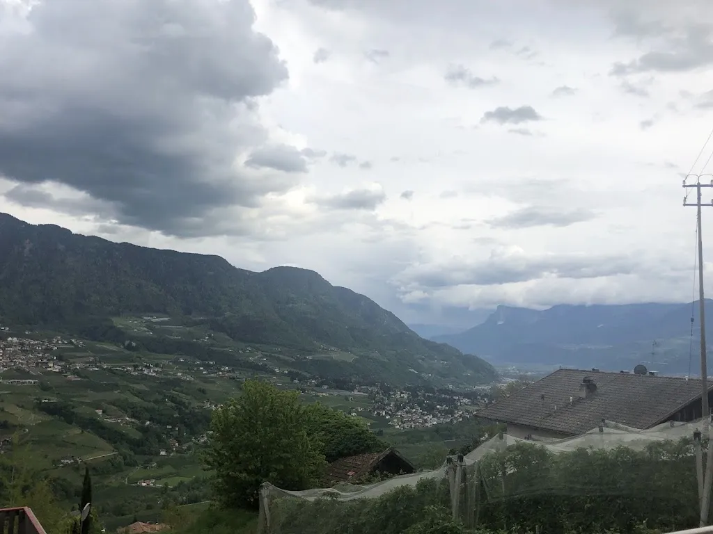 Maciek Sz._Ungerichthof_Caines - Kuens_review