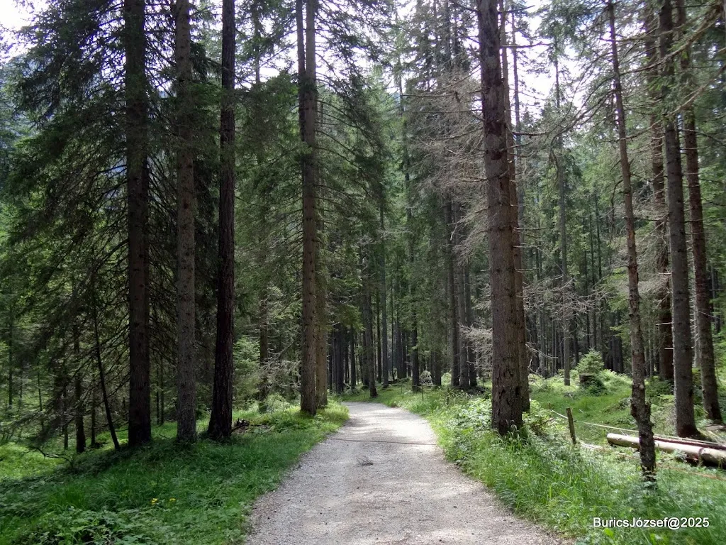 Burics József_Kaseralm_Braies_review