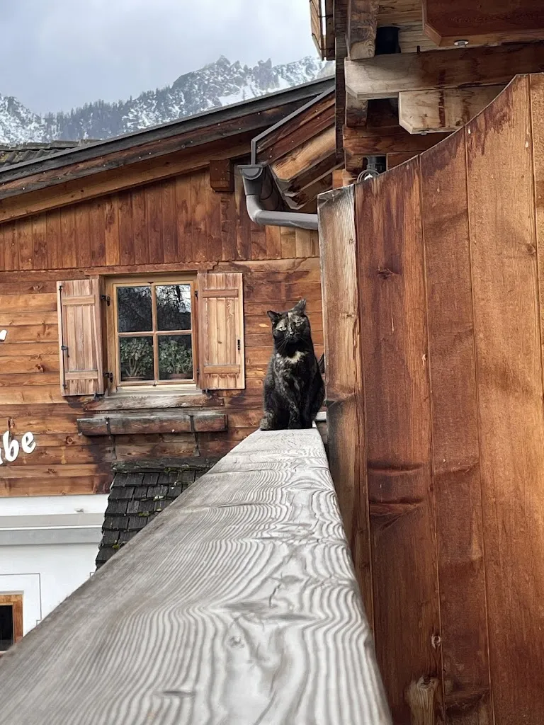 Lucas Amaral_Speckstube Eggerhof_Braies_review