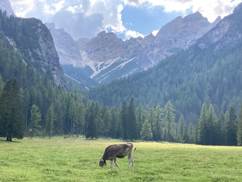 Pedro Amaral_Malga Foresta_Braies_review